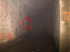 Путешествуя по подземным тоннелям, очевидец повстречался со странными существами