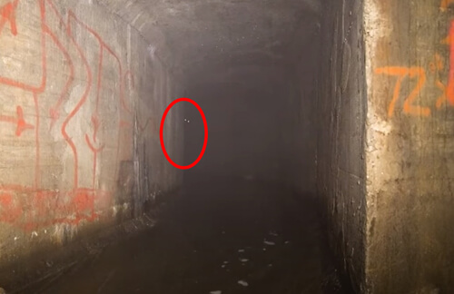 Путешествуя по подземным тоннелям, очевидец повстречался со странными существами