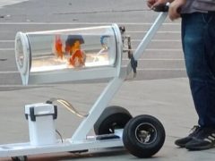 Изобретатель создал передвижной аквариум, чтобы гулять со своими золотыми рыбками