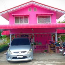 Молодая женщина выкрасила дом в розовый цвет и окружила себя розовыми аксессуарами