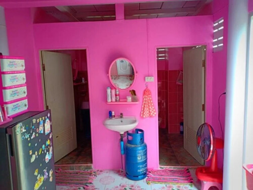 Молодая женщина выкрасила дом в розовый цвет и окружила себя розовыми аксессуарами