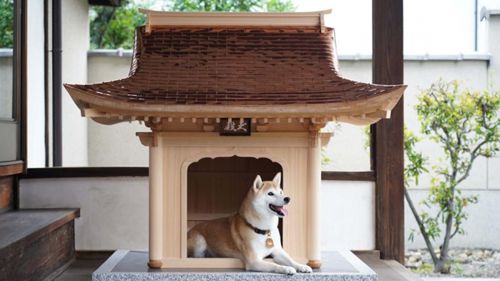 Эксклюзивный собачий домик представляет собой миниатюрный японский дворец