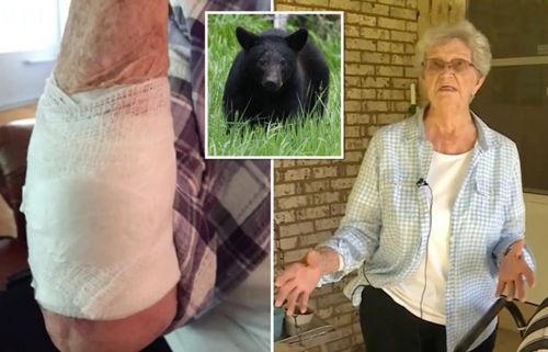 Старушка использовала шезлонг, чтобы не подпустить к себе медведицу