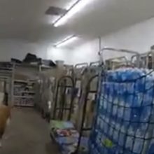 Продавцы вызвали полицейских, чтобы те убрали из магазина «гигантскую собаку»