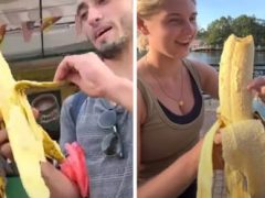 Туристы купили настолько большой банан, что на его съедение ушло два дня