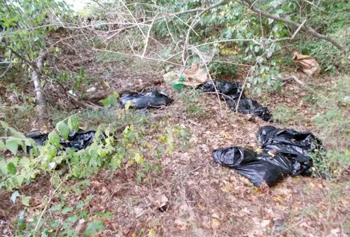 Возле жилого комплекса обнаружены мешки с трупами обезглавленных животных
