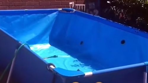 Добрячка разрешила всем соседским детям пользоваться её бассейном