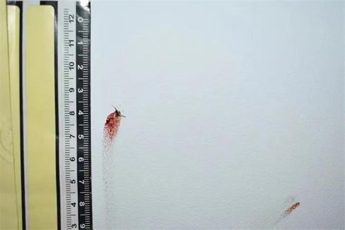 Мёртвый комар, размазанный по стенке, помог изобличить преступника