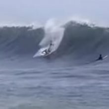 Акула выпрыгнула из воды прямо перед серфером