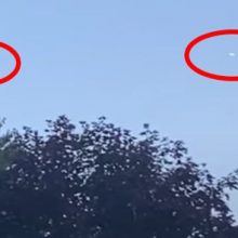 Три странных летательных аппарата пролетели над деревьями, не производя ни малейшего шума