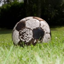 Полиция обвинила женщину в краже соседских футбольных мячей
