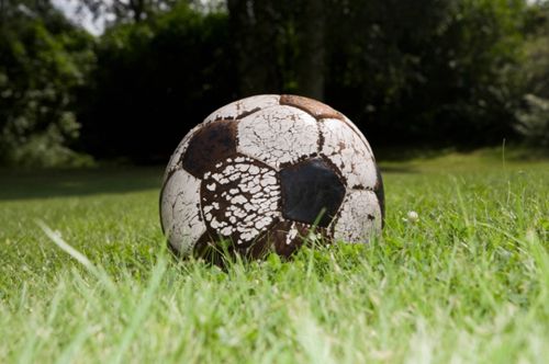 Полиция обвинила женщину в краже соседских футбольных мячей