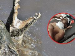 Мужчина спасся от крокодила, но получил несколько серьёзных травм