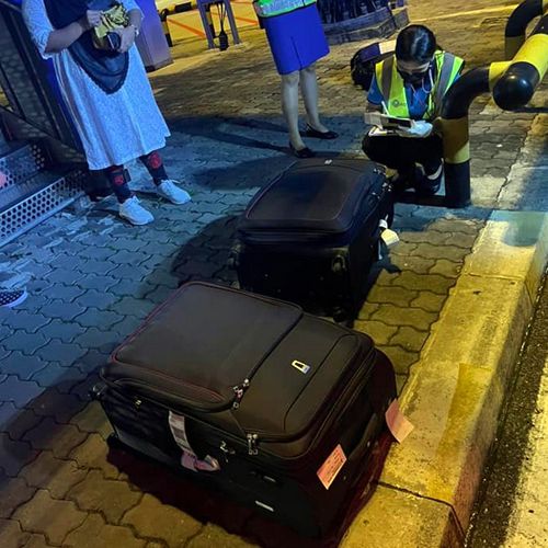 Путешественницы незаконно пытались провезти в багаже целый зверинец