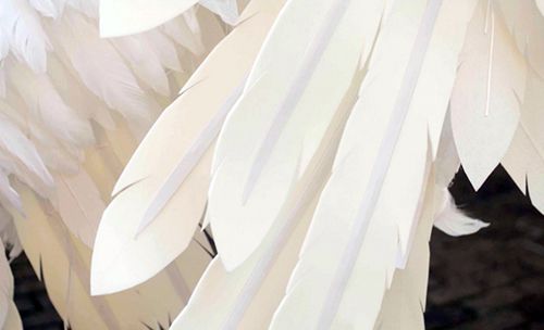 Любительница косплея создала огромные крылья ради мирового рекорда