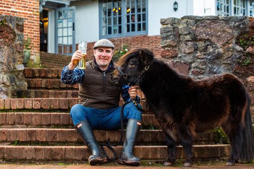 Пони, любящий пиво, стал мэром английской деревни