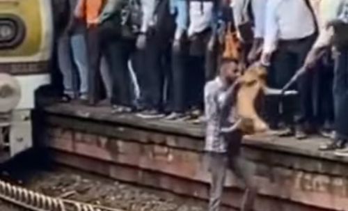 Добряк спустился на железнодорожные рельсы, чтобы спасти собаку