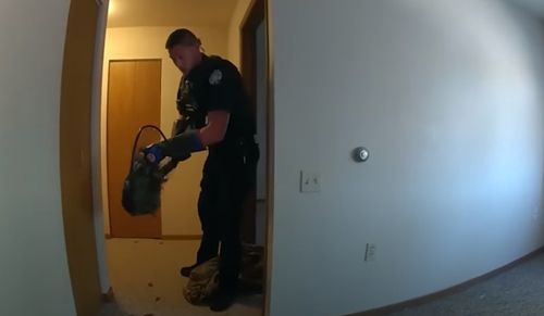 Полицейским пришлось ловить индейку, проникшую в чужую квартиру