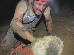 Исследуя пещеры, спелеологи спасли собаку, пропавшую два месяца назад
