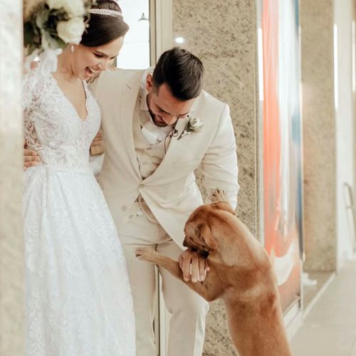 Бездомный пёс, пришедший на свадьбу, стал домашним питомцем молодожёнов