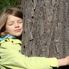 Люди, любящие природу, приняли участие в чемпионате по объятиям с деревьями