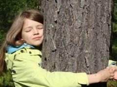 Люди, любящие природу, приняли участие в чемпионате по объятиям с деревьями