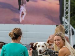 Любители животных побили мировой рекорд, явившись с собаками на просмотр кино под открытым небом