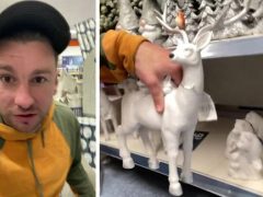 Покупатель разглядел гениталии у фигурки рождественского оленя