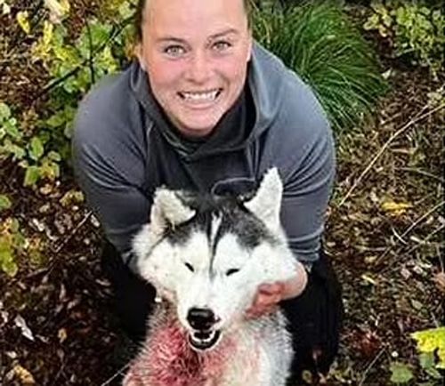 Охотница, которая похвасталась убитым волком, на самом деле застрелила хаски