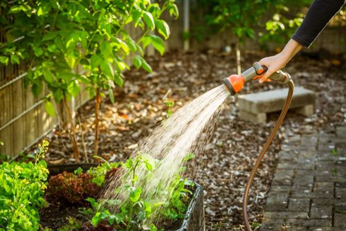 Домовладелица узнала, что соседи привыкли пользоваться её водой для полива своего сада