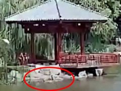 Пожилая женщина нырнула в озеро, чтобы помочь утопающей незнакомке