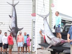 Рыбаки вступили в 2,5-часовую схватку с меч-рыбой, принесшей им рекорд штата