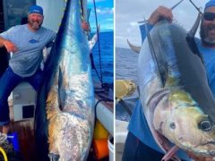 Рыбаки не получили выигрыш за крупного тунца, так как провалили проверку на детекторе лжи
