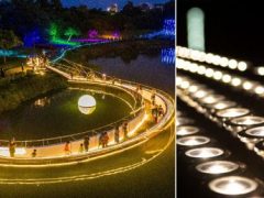 Светящаяся инсталляция из фонариков попала в Книгу рекордов Гиннеса