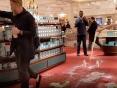 Веганы-активисты явились в два супермаркета и разлили там молоко