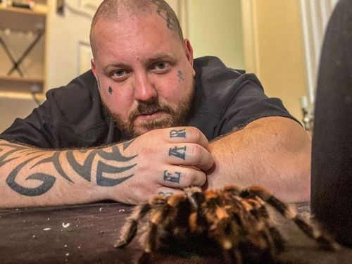 Чтобы улучшить своё психологическое здоровье, мужчина завёл 300 тарантулов