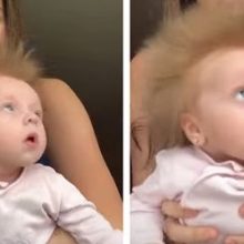 Новорожденная девочка может похвастаться волосами, торчащими в разные стороны