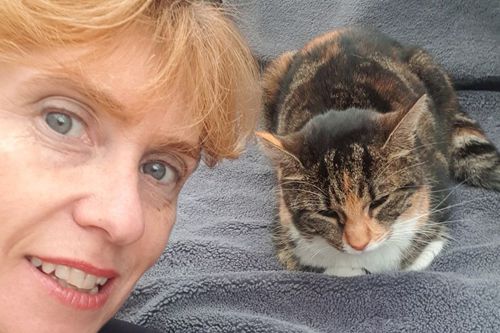 Вещий сон помог хозяйке найти потерявшуюся кошку в заброшенной церкви