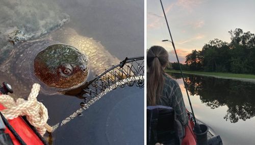 Рыбачившие женщины сравнили приплывшую к ним черепаху с водным монстром