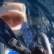 Женщина нос к носу столкнулась с акулой, но счастливо избежала её зубов