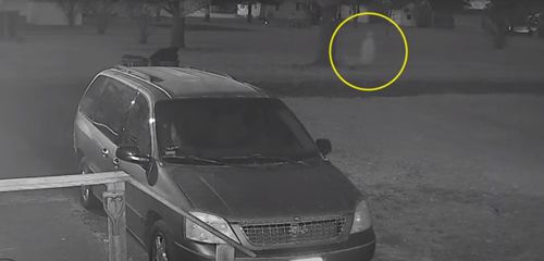 Домовладелец посмотрел запись с камеры видеонаблюдения и понял, что его собака облаяла призрака