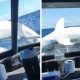 Рыбаки слишком близко познакомились с акулой, которая выпрыгнула из воды на нос лодки