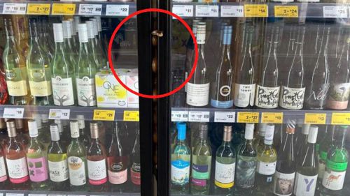 Опасная змея спряталась между дверцами холодильника с вином