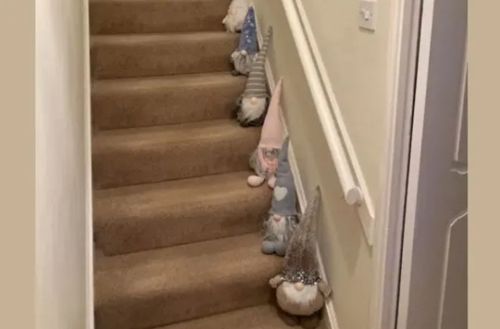 Хозяйка рассадила гномов на лестнице в доме, но идею посчитали небезопасной