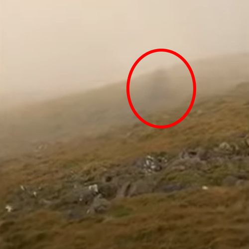 Турист встретил в тумане привидение, но понял, что это его собственная тень