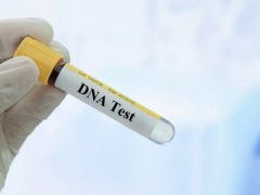 Отец семейства повесил на стену ДНК-тест своего ребёнка, чтобы уязвить родителей