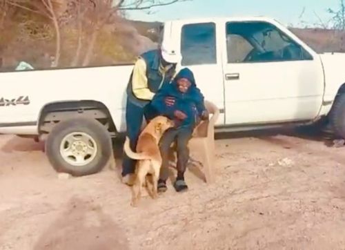 Верный пёс привёл спасателей к заблудившемуся престарелому хозяину
