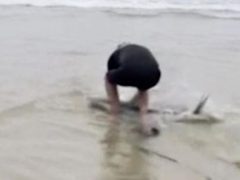 Серфер не побоялся взять на руки акулу, чтобы отнести её в воду