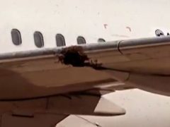 Рой пчёл уселся на крыло самолёта и стал причиной отмены рейса