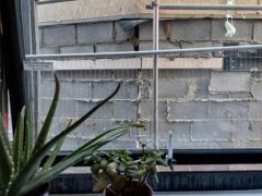 Домовладельца возмутила стена, которую соседи воздвигли за его окном